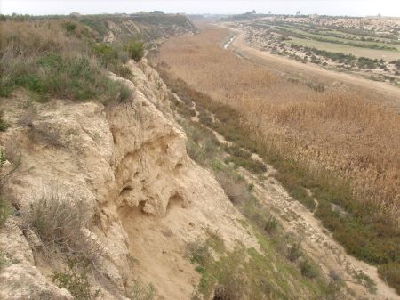 La concejalía de Medio Ambiente solicita a la Confederación Hidrográfica del Segura la recuperación ambiental integral del río Guadalentín