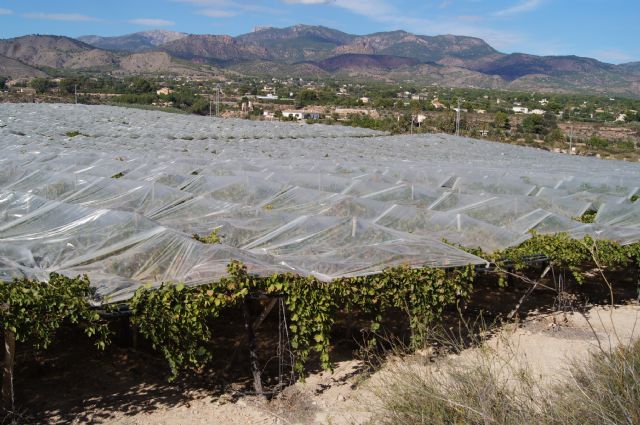 El Ministerio ha aprobado medidas de apoyo para la financiación a los agricultores y ganaderos por la sequía