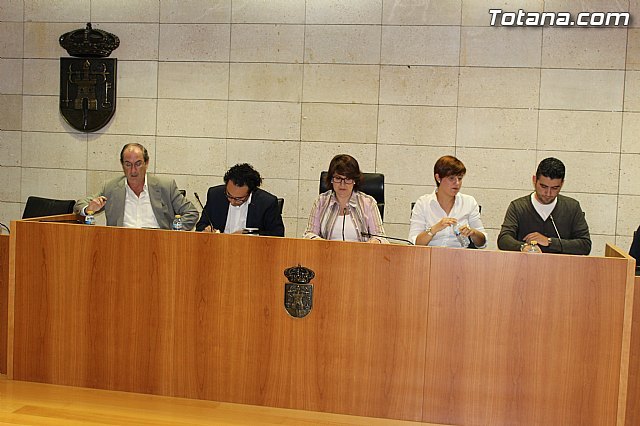 El Pleno aprueba un Manifiesto con motivo del Día Internacional para la Eliminación de la Violencia contra la Mujer