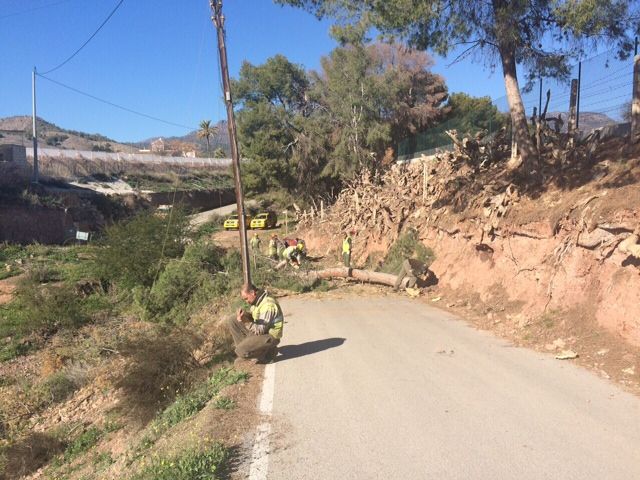 Protección Civil y la Brigada Forestal limpian el arbolado que ocupaba la vía en el Camino de los Mortolitos