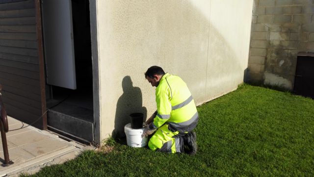 La Concejalía de Salud Pública procede a la instalación de trampas de captura para comprobar la presencia o ausencia del mosquito tigre en Totana