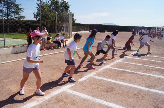 Más de 400 alumnos de sexto curso de Educación Primaria de todos los centros educativos participan en la Olimpiada Escolar