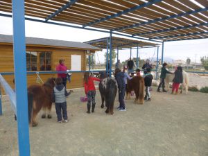 Continúa abierto el plazo de inscripción para la el 'Taller con Ponis y Caballos'