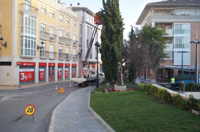 Podan los árboles de grandes dimensiones y mayor altura de los parterres de la plaza Balsa Vieja por seguridad