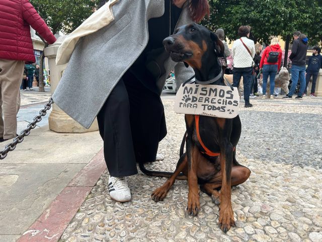 Murcia y Cartagena se movilizan junto a más de 75 ciudades del Estado contra la caza con perros