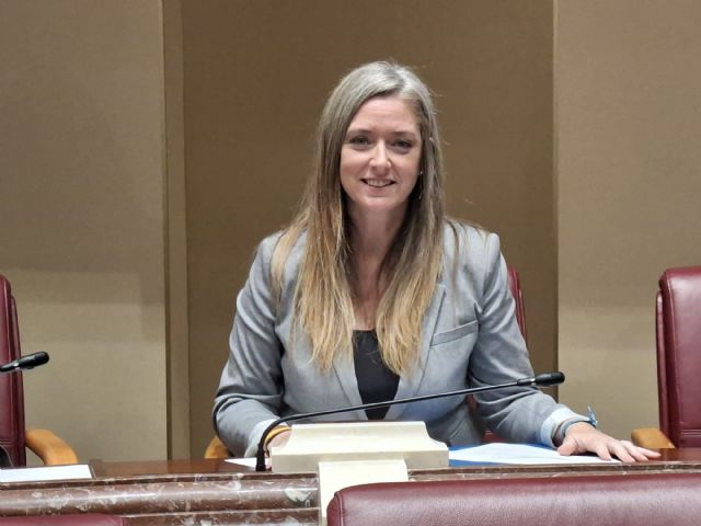 El PP denuncia que el frenazo a la retirada de Puerto Mayor 'es consecuencia de otra chapuza 'marca de la casa' del PSOE de Sánchez'