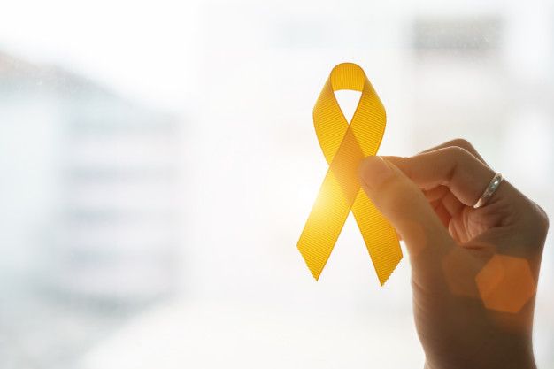 El Ayuntamiento solicita a las diferentes Administraciones Públicas competentes un Programa Nacional y Autonómico de Prevención del Suicidio