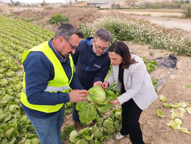 La Región de Murcia, Andalucía y Comunidad Valenciana se unen para reclamar al Ministerio soluciones ante la crisis de plagas en el campo