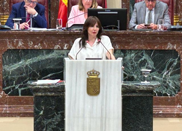 El PSOE afirma que la consejera de Salud 'sólo ha venido a la Asamblea Regional a mentir e intentar tapar el escándalo de las prótesis caducadas'