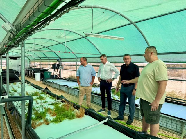 La Región de Murcia estudia biofiltros para recuperar nitrógeno y fósforo de la acuicultura y reducir su impacto ambiental