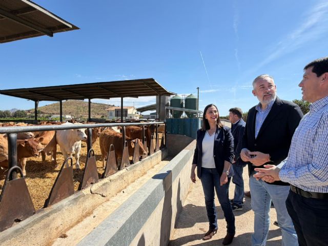 El Gobierno regional refuerza la sanidad animal con una convocatoria de un millón de euros para las Agrupaciones de Defensa Sanitaria Ganadera