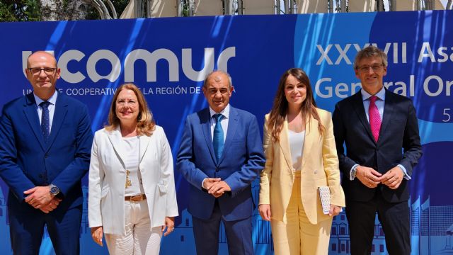 En los últimos cinco a&ntilde;os se han creado casi 600 cooperativas en la Región de Murcia
