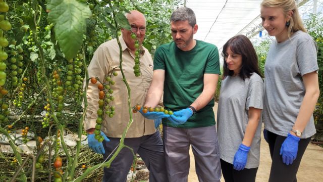 La Comunidad apuesta por la alianza entre tecnificación, calidad y productividad como respuesta a los retos de la agricultura