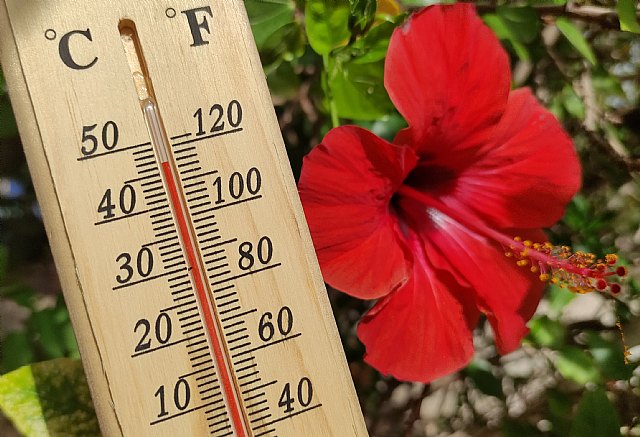 Salud recomienda extremar las precauciones ante el exceso de temperaturas previsto para esta semana