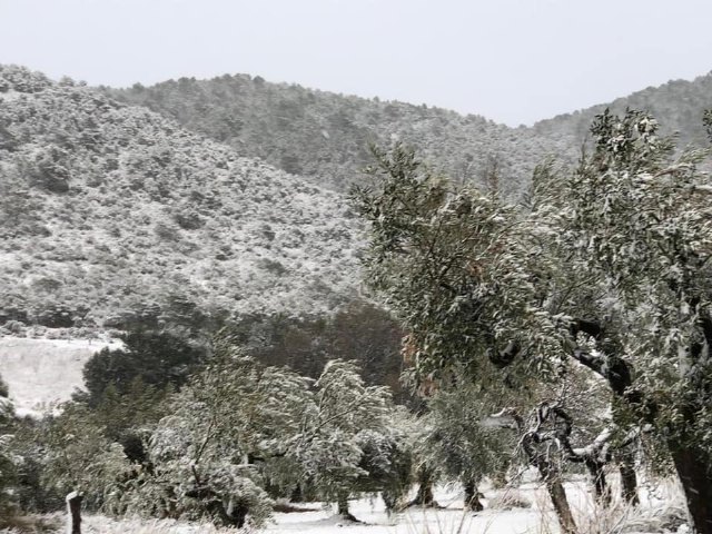 Ya hay nieve en Sierra Espuña