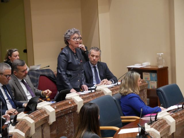 El PP denuncia que 'el PSOE de la ley del solo sí es sí, las pulseras de 'Ali Express' y que protege a acosadores sexuales se empe&ntilde;a en dar lecciones de igualdad'