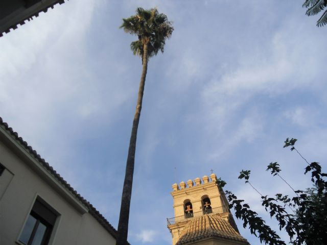 Preciosa herencia