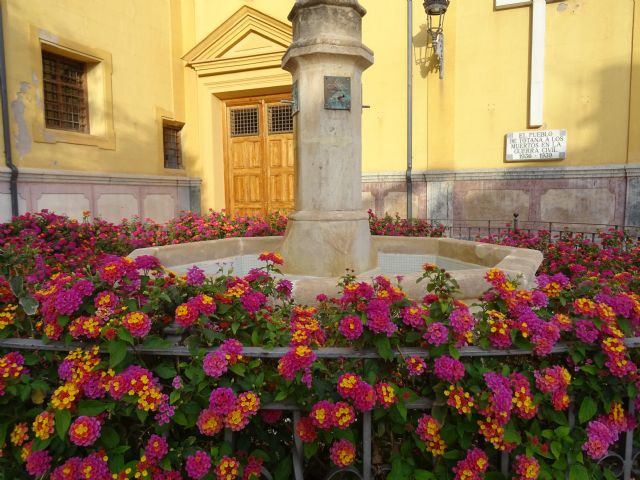 Sandía, piscina, crucero