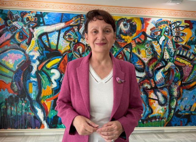 Podemos fuerza la comparecencia de Isabel Ayala en la Comisión de Investigación sobre las derivaciones irregulares del SMS en la Asamblea
