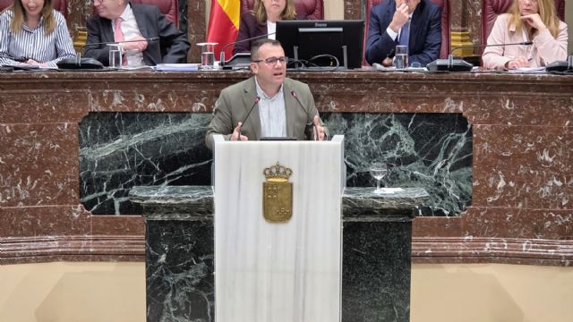 El PP impide sacar adelante una moción del PSOE para dotar de más medios materiales y humanos al CEIS que está en 'una situación límite'