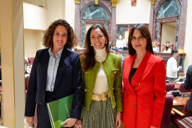 El PP se suma a la izquierda y vota en contra de la iniciativa de VOX para prohibir el burka y el niqab en espacios públicos