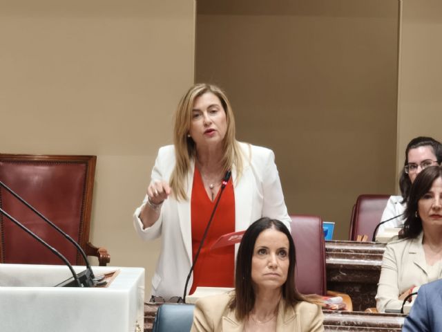 Carmina Fernández: 'En el Gobierno de López Miras, cuando fallan los controles no se depuran responsabilidades; se reparten ascensos'