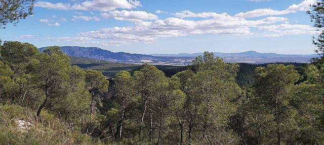 La Ley que recorta el Parque Regional de Sierra Espuña será revisada por el Tribunal Constitucional