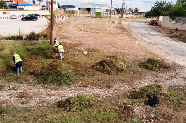 El SEPE asigna más de 650.000 euros para el programa de los Consejos Comarcales 2025/2026 en Totana