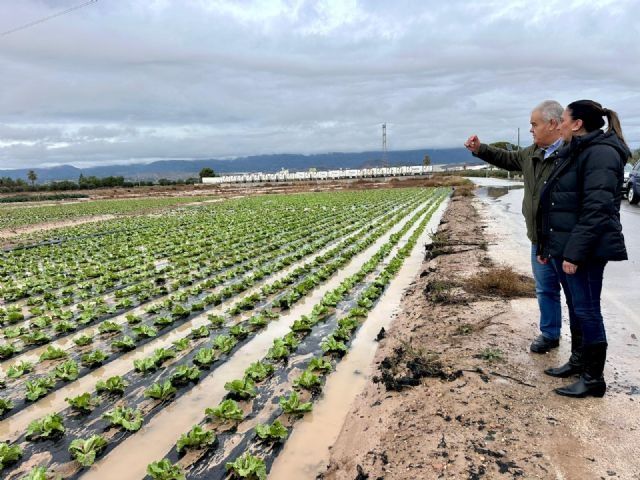 La Consejería cifra en más de 8,8 millones de euros los daños en el campo de Totana tras las lluvias torrenciales de diciembre
