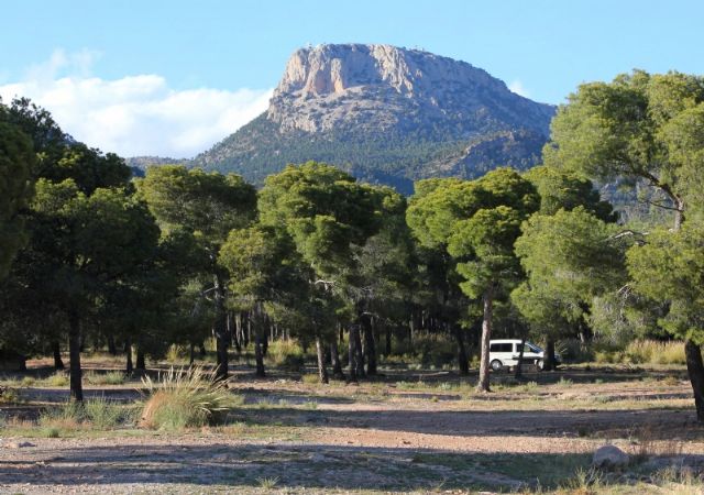 Designarán representantes del Ayuntamiento de Totana en varios órganos de representación medioambiental de la Comunidad Autónoma