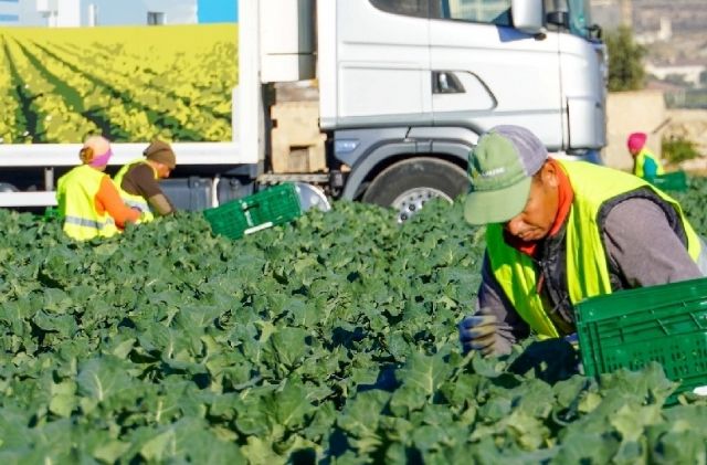 Totana lidera el incremento de afiliados a la Seguridad Social en la Comarca del Guadalentín durante el mes de julio
