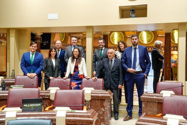 VOX lleva a la Asamblea una iniciativa para frenar la ofensiva del Gobierno contra la libertad de expresión