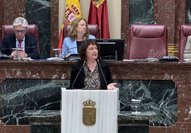IU-Verdes y Podemos arrancan por unanimidad la regulación y financiación de las escuelas de música tras 'a&ntilde;os de abandono' por parte del Ejecutivo de López Miras