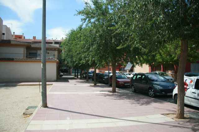 Repondrán varias alineaciones de árboles viarios por su afección interna que había generado debilidades estructurales en tronco y ramas