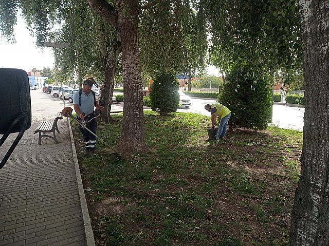 Brigada municipal: trabajos del lunes 14 de junio