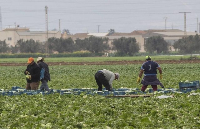Abiertas las ayudas a la inversión en explotaciones agrarias, cuyo plazo de presentación de solicitudes finaliza el próximo 20 de octubre