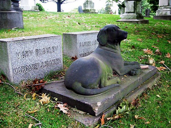 Proponen la creación de un Cementerio para animales de compañía en Totana