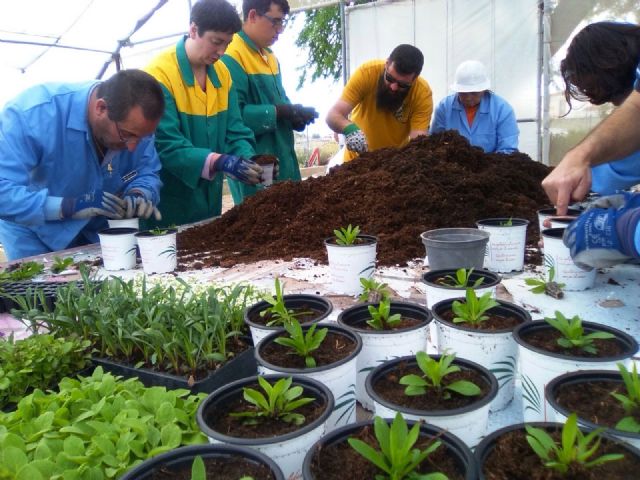 Los Centros de Día para la Discapacidad impulsan el Taller de Jardinería gracias a la colaboración de la empresa local 'Viveros Bermejo'