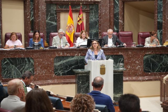 La Comunidad recurre ante el Tribunal Supremo el Real Decreto que incrementa la capacidad de acogida de menores migrantes en la Región