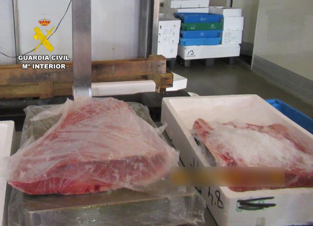 La Guardia Civil detecta 16 kilos de ventresca de atún rojo a la venta sin documentación