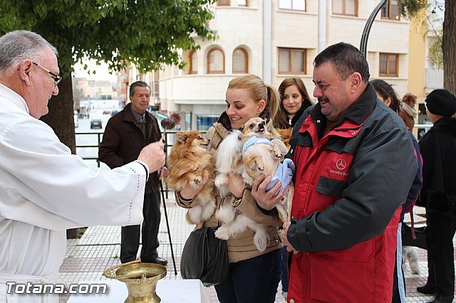 La Festividad de San Antón en Totana: tradición, historia y simbolismo