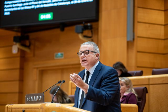 El PP exige en el Senado la dimisión de la directora general del SEPES por obstruir el desarrollo estratégico de la ZAL de Cartagena