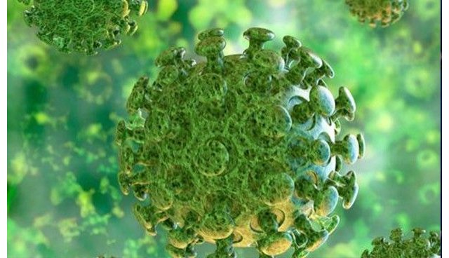 No existe constancia que hayan nuevas incidencias o positivos por coronavirus en Totana, según el alcalde