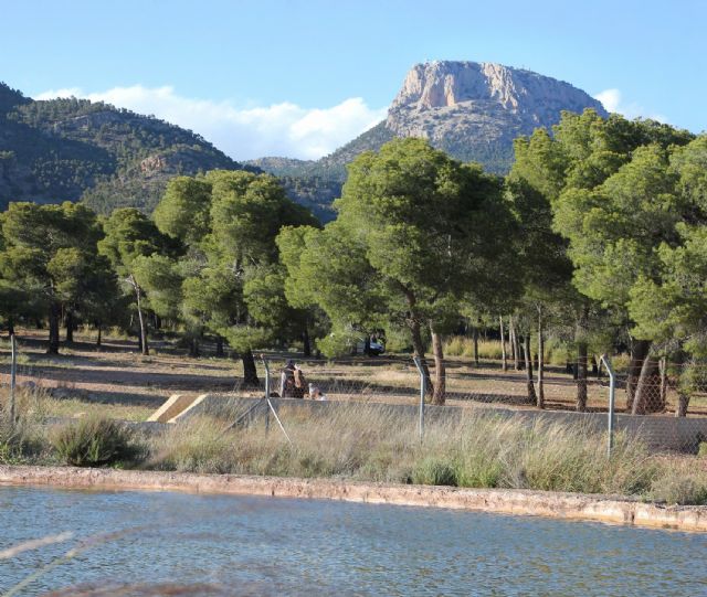 Declaran el municipio de Totana en Emergencia Climática