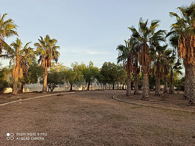 Los jardines del Polígono Industrial: unos espacios a revalorizar