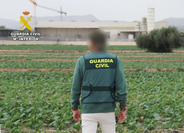 La Guardia Civil destapa en una finca de Totana un caso de explotación laboral