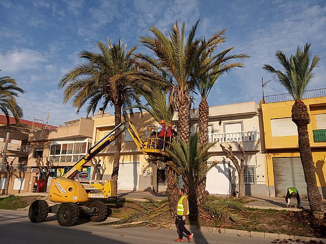 Brigada municipal: trabajos del 19 de abril
