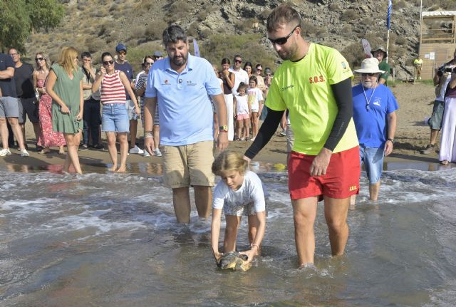 López Miras resalta el 'apoyo y concienciación de la sociedad' para recuperar y tratar a las tortugas bobas localizadas en el litoral regional