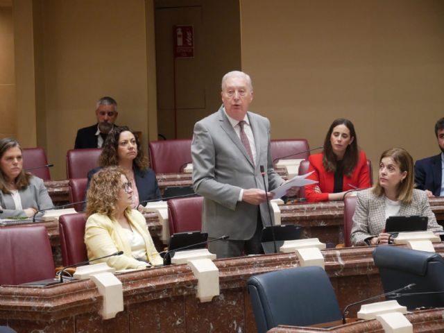 El PP denuncia que 'el PSOE pretende tapar con sus mentiras que la incompetencia de Sánchez ha complicado la asistencia sanitaria'