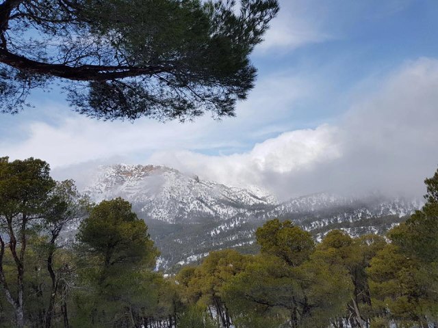 Puede accederse en vehículo hasta la Casa Forestal de las Alquerías